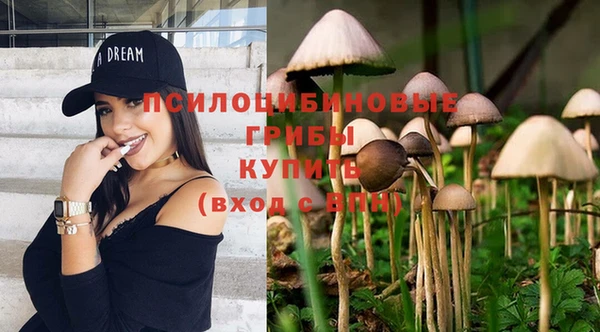 дурь Абдулино