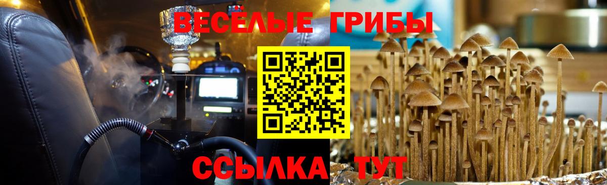 Приморско-Ахтарск  как найти   Псилоцибиновые грибы Psilocybine cubensis  Вход с VPN  Галлюциногенные грибы Psilocybine cubensis 